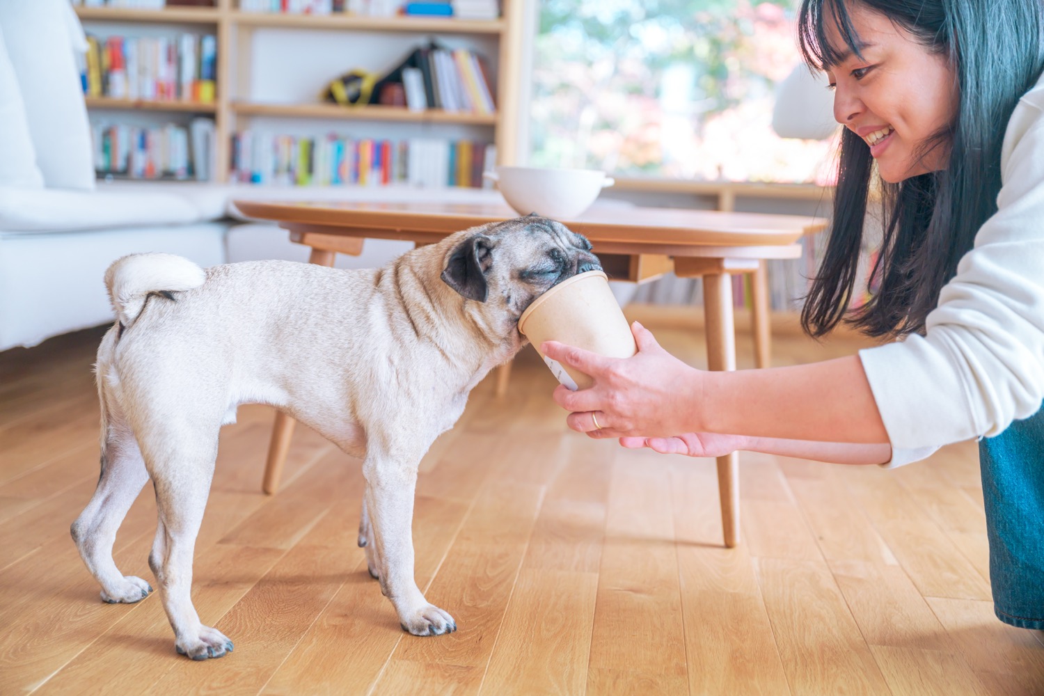ハグボックスブレンドチキン 1kg